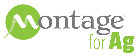 montageforag